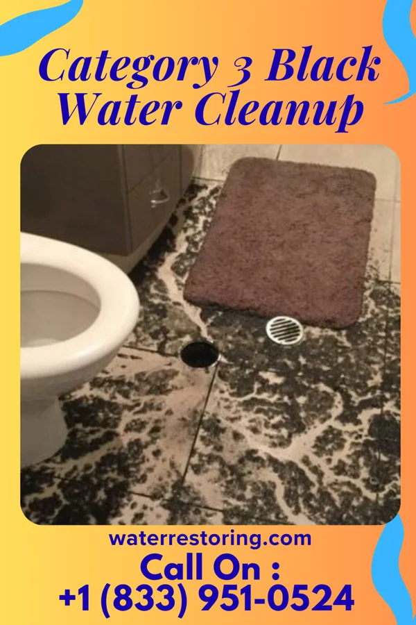 Category 3 Black Water Cleanup in Castine, OH
