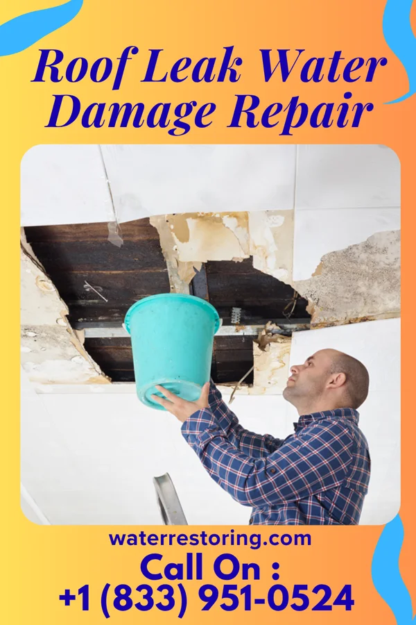 Roof Leak Water Damage Repair in Castine, OH