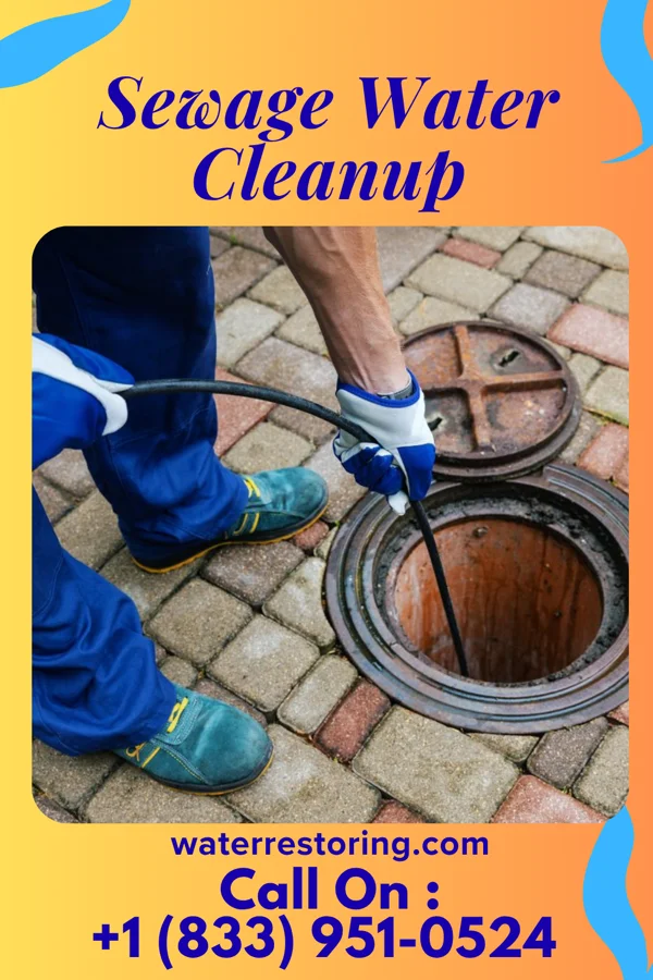 Sewage Water Cleanup in Castine, OH