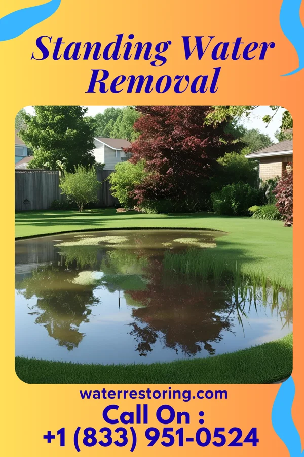 Standing Water Removal in Castine, OH